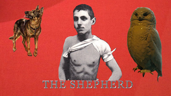 THE SHEPHERD